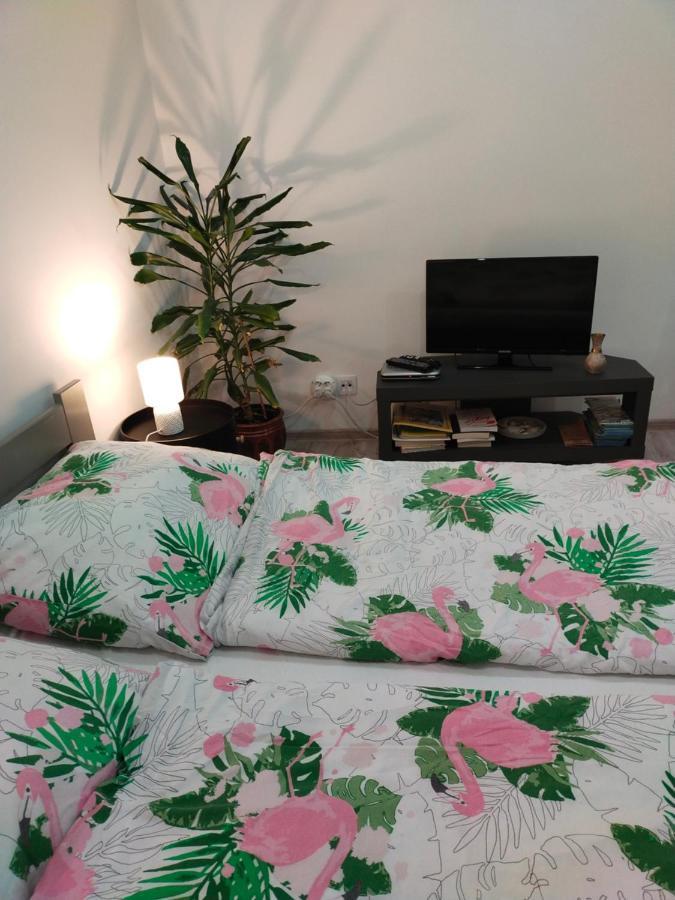 Apartmán Przy Rynku Duszniki Zdrój Exteriér fotografie